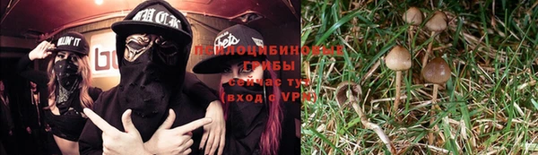 молекула духа Алексин