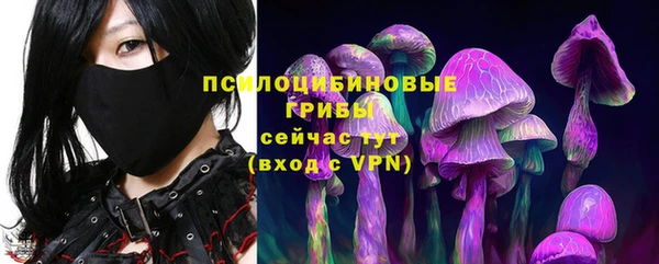 молекула духа Алексин