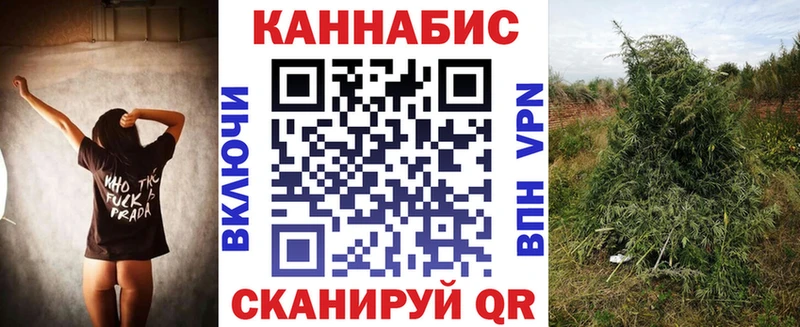 Конопля ГИДРОПОН  магазин продажи   Шуя 